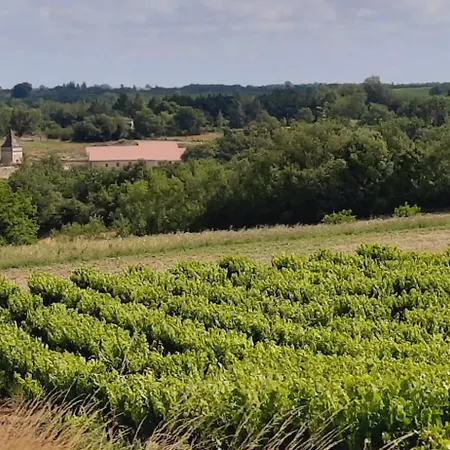 Tatil Evi Spacieux Les Lyllacs Cestayrols